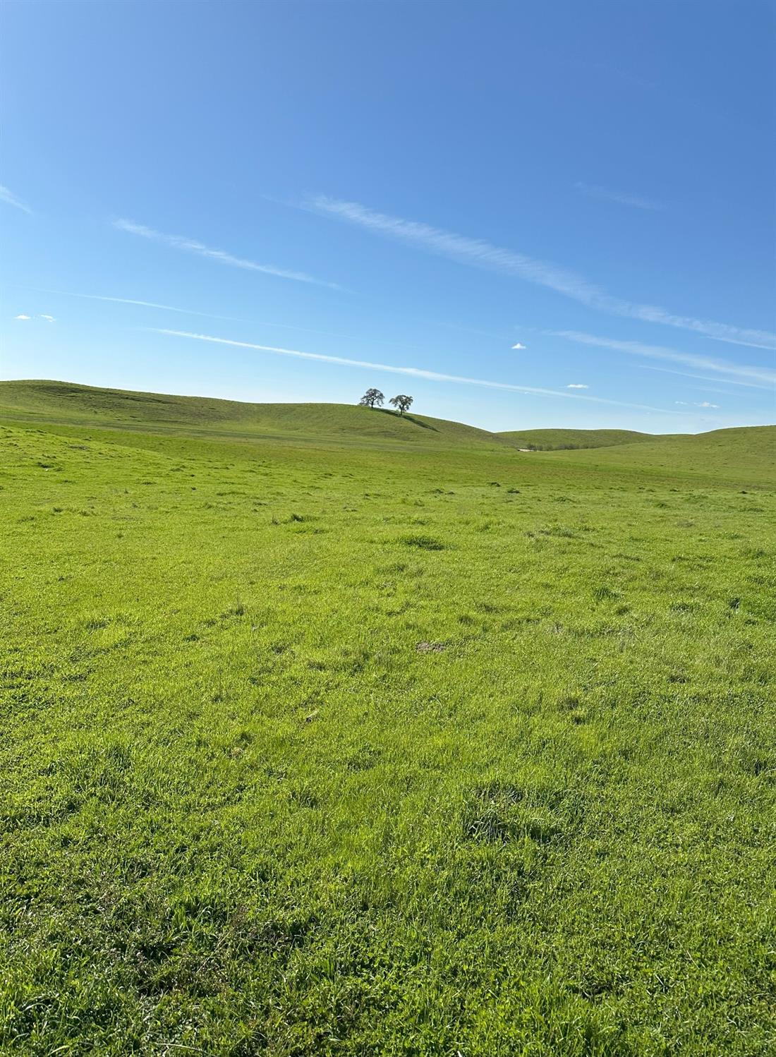 Detail Gallery Image 24 of 73 For 1100 Crabtree Rd, Waterford,  CA 95386 - – Beds | – Baths