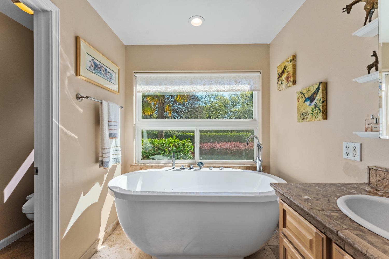 Detail Gallery Image 60 of 86 For 3541 Val Verde Rd, Loomis,  CA 95650 - 3 Beds | 2/1 Baths