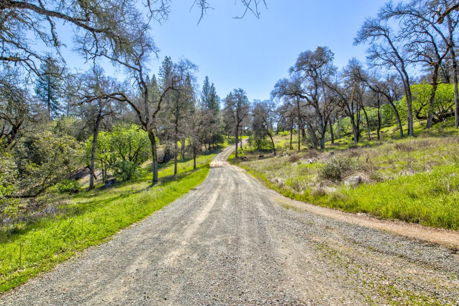 Detail Gallery Image 3 of 99 For 19277 Cedar Pines Dr, Fiddletown,  CA 95629 - 1 Beds | 2/2 Baths