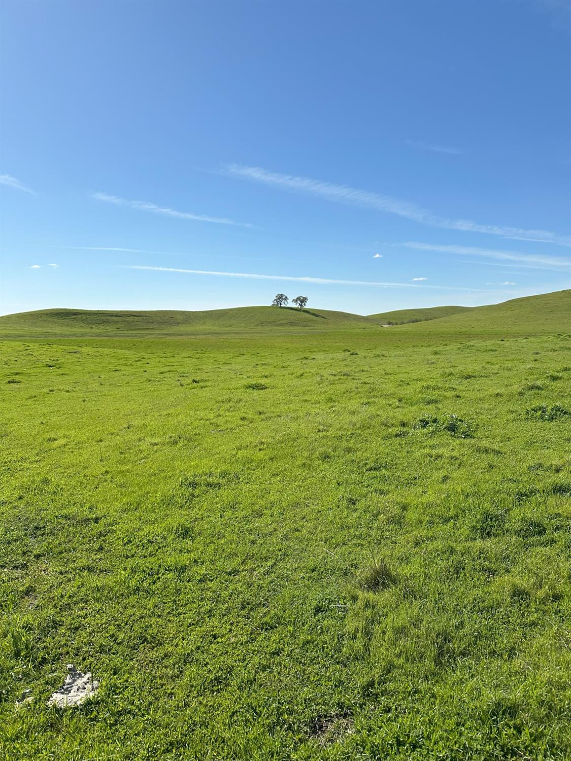 Detail Gallery Image 23 of 73 For 1100 Crabtree Rd, Waterford,  CA 95386 - – Beds | – Baths