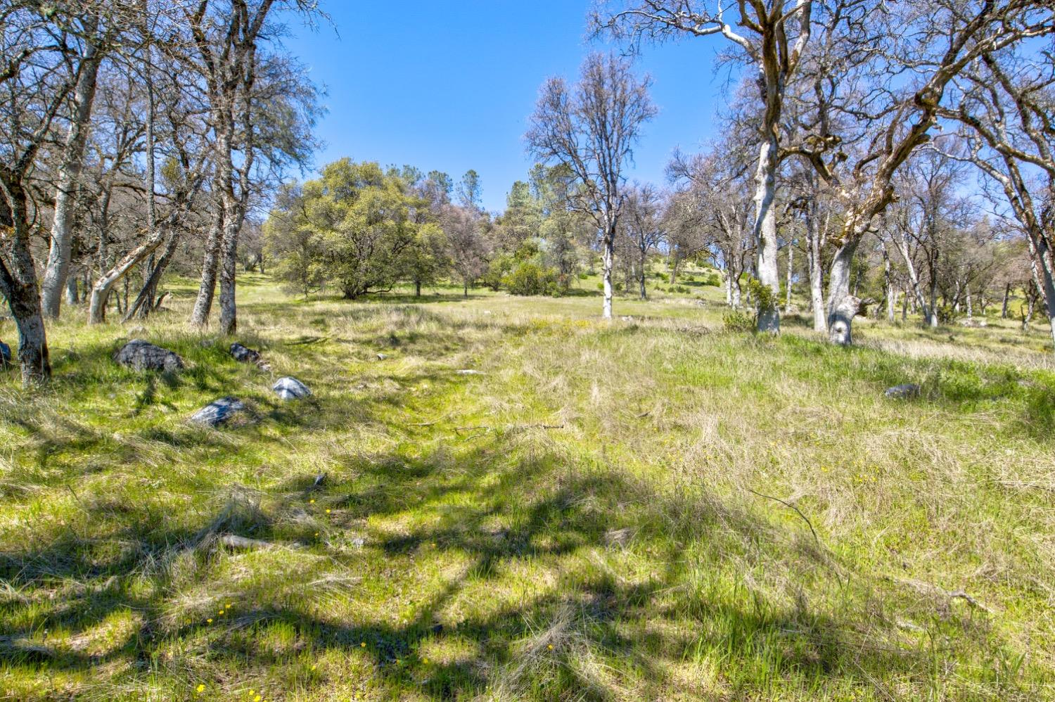 Detail Gallery Image 7 of 99 For 19277 Cedar Pines Dr, Fiddletown,  CA 95629 - 1 Beds | 2/2 Baths