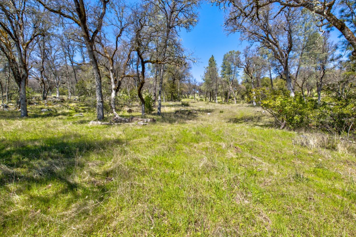 Detail Gallery Image 5 of 99 For 19277 Cedar Pines Dr, Fiddletown,  CA 95629 - 1 Beds | 2/2 Baths