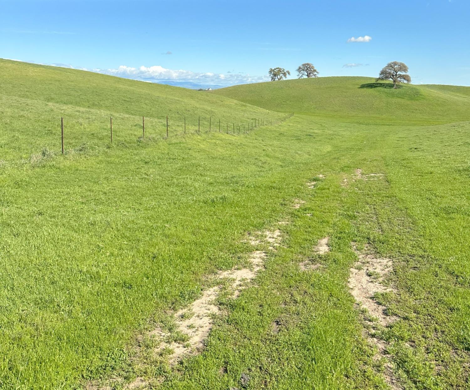 Detail Gallery Image 14 of 73 For 1100 Crabtree Rd, Waterford,  CA 95386 - – Beds | – Baths