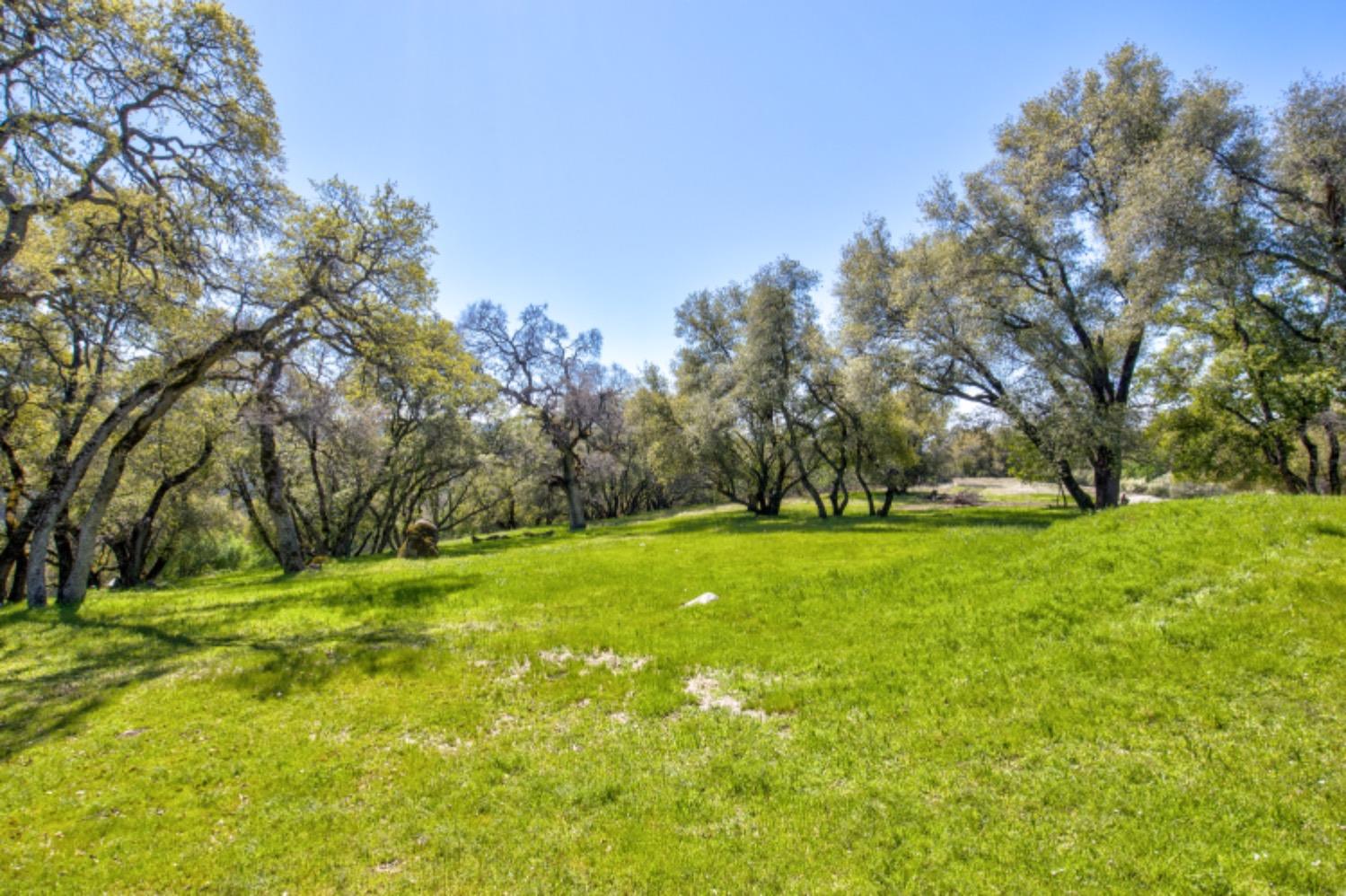 Detail Gallery Image 84 of 99 For 19277 Cedar Pines Dr, Fiddletown,  CA 95629 - 1 Beds | 2/2 Baths