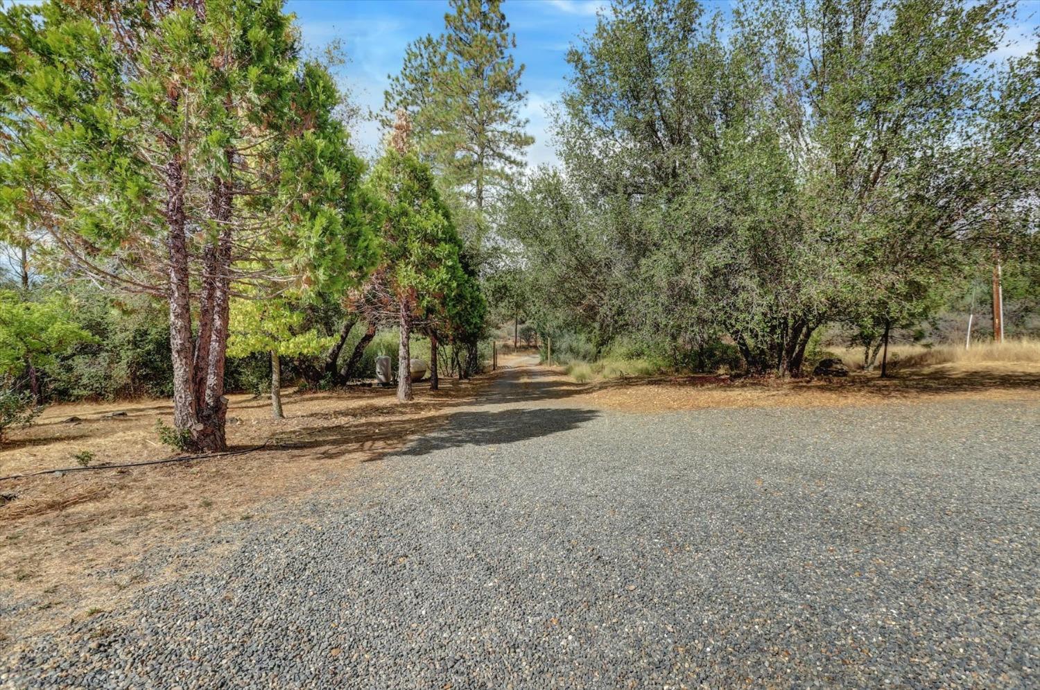Detail Gallery Image 74 of 76 For 13807 Bluebird Way, Oregon House,  CA 95962 - 5 Beds | 4 Baths