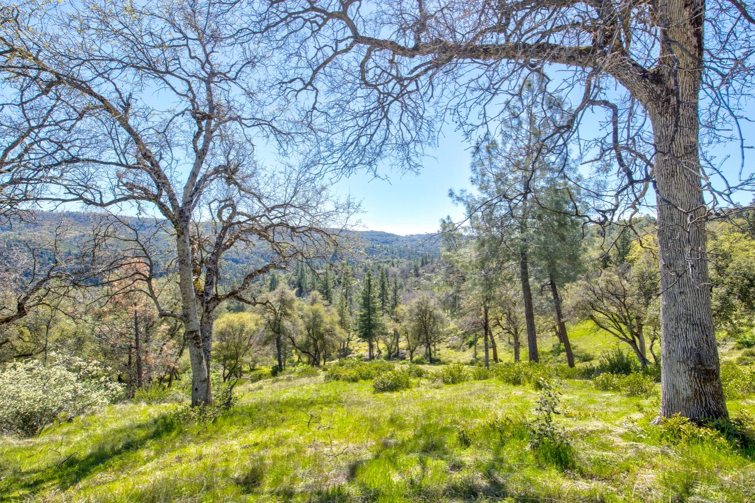 Detail Gallery Image 57 of 99 For 19277 Cedar Pines Dr, Fiddletown,  CA 95629 - 1 Beds | 2/2 Baths