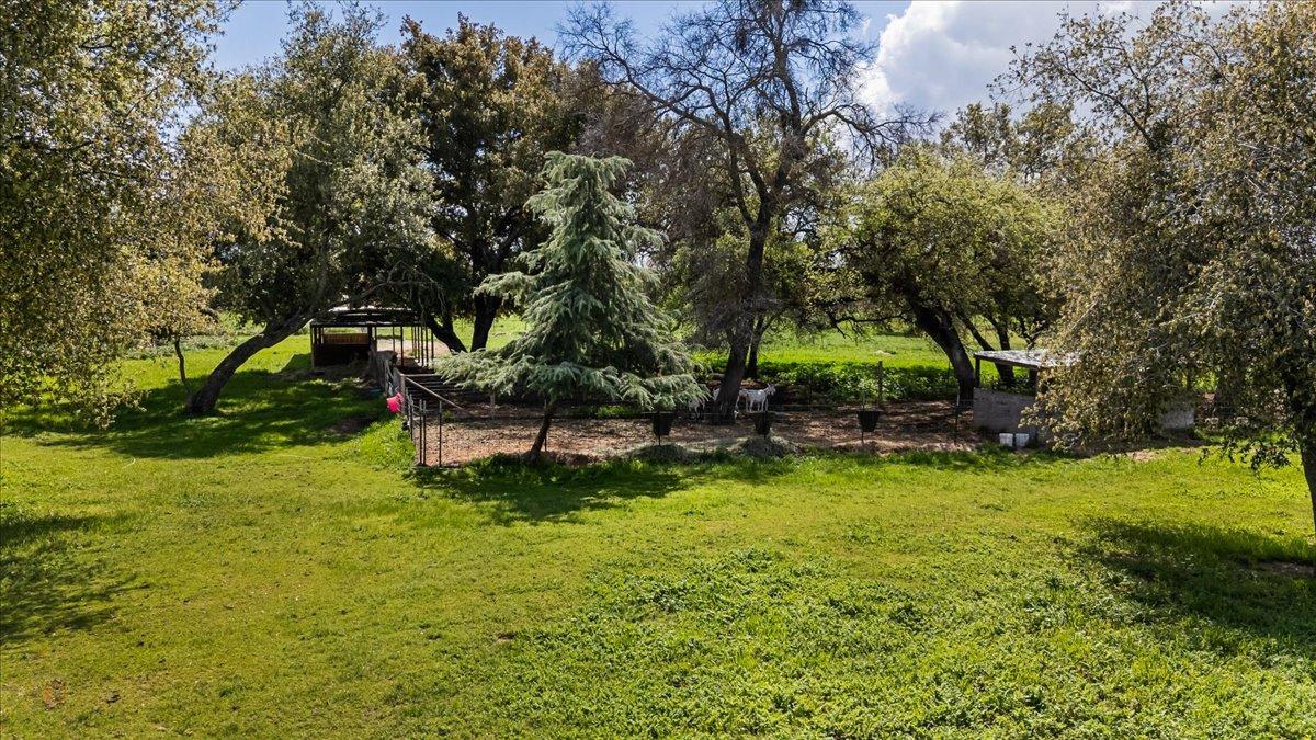 Detail Gallery Image 74 of 87 For 16212 Morrison, Oakdale,  CA 95361 - 4 Beds | 2/1 Baths