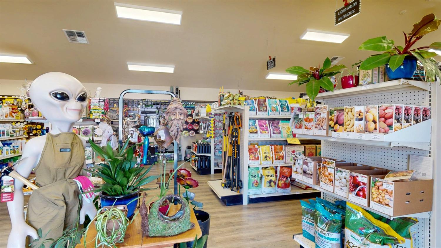 Detail Gallery Image 36 of 46 For 29435 State Highway 49, North San Juan,  CA 95960 - – Beds | – Baths