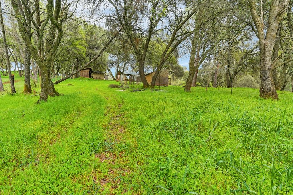 Detail Gallery Image 59 of 71 For 914 Orchard Ct, Pilot Hill,  CA 95664 - 4 Beds | 2 Baths