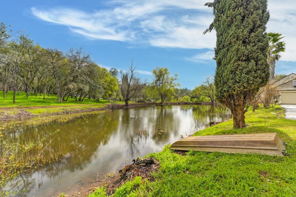 Detail Gallery Image 9 of 71 For 914 Orchard Ct, Pilot Hill,  CA 95664 - 4 Beds | 2 Baths