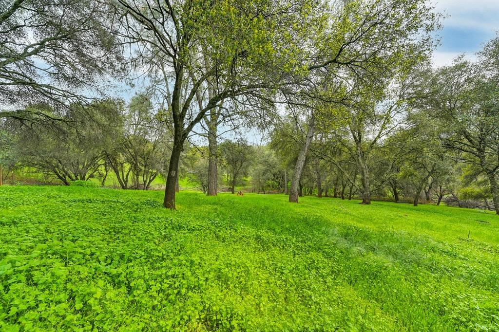 Detail Gallery Image 60 of 71 For 914 Orchard Ct, Pilot Hill,  CA 95664 - 4 Beds | 2 Baths