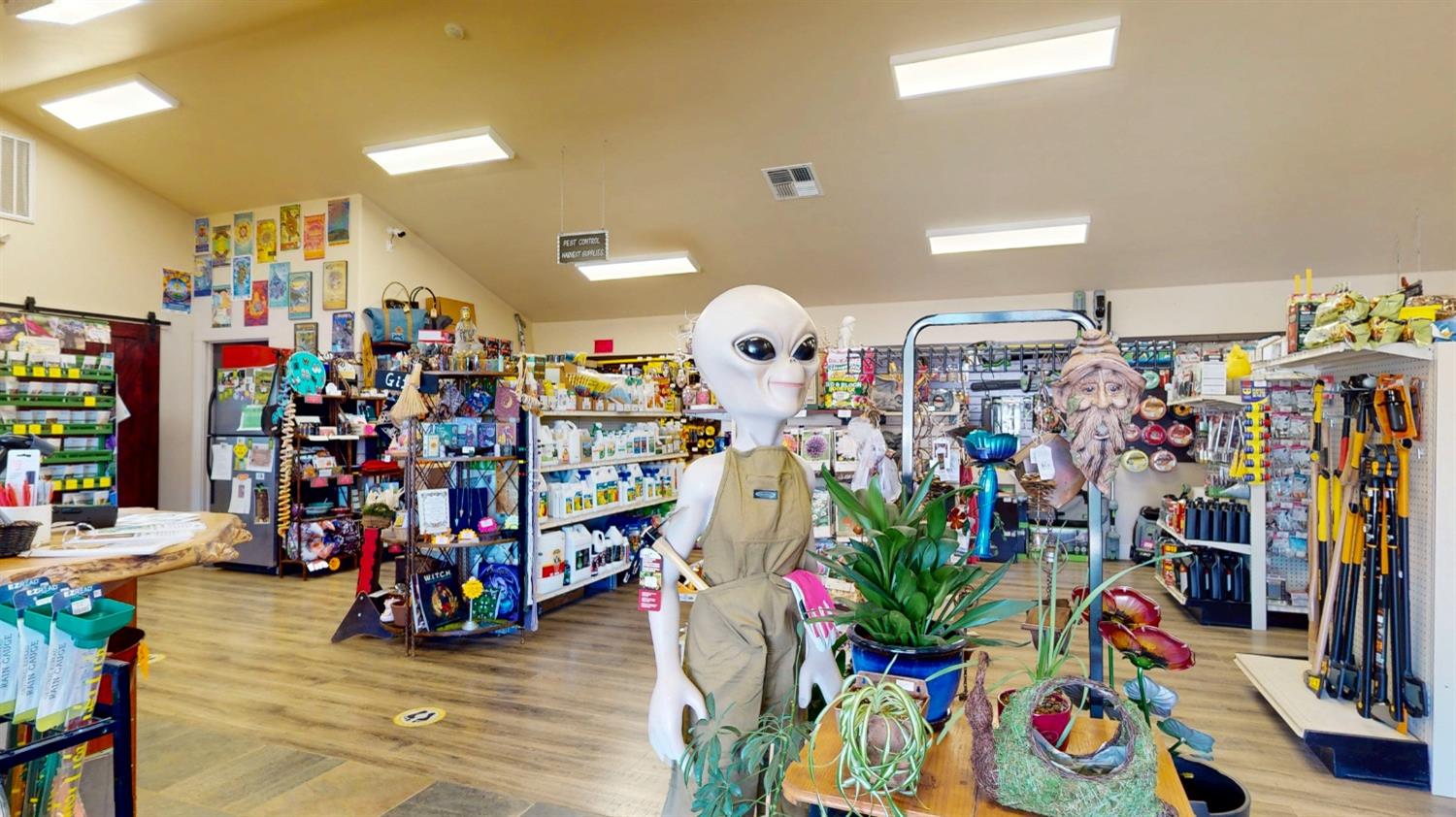 Detail Gallery Image 5 of 46 For 29435 State Highway 49, North San Juan,  CA 95960 - – Beds | – Baths