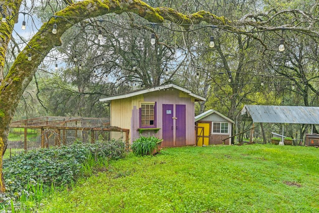 Detail Gallery Image 51 of 71 For 914 Orchard Ct, Pilot Hill,  CA 95664 - 4 Beds | 2 Baths