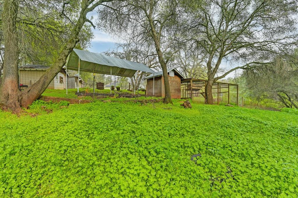 Detail Gallery Image 62 of 71 For 914 Orchard Ct, Pilot Hill,  CA 95664 - 4 Beds | 2 Baths