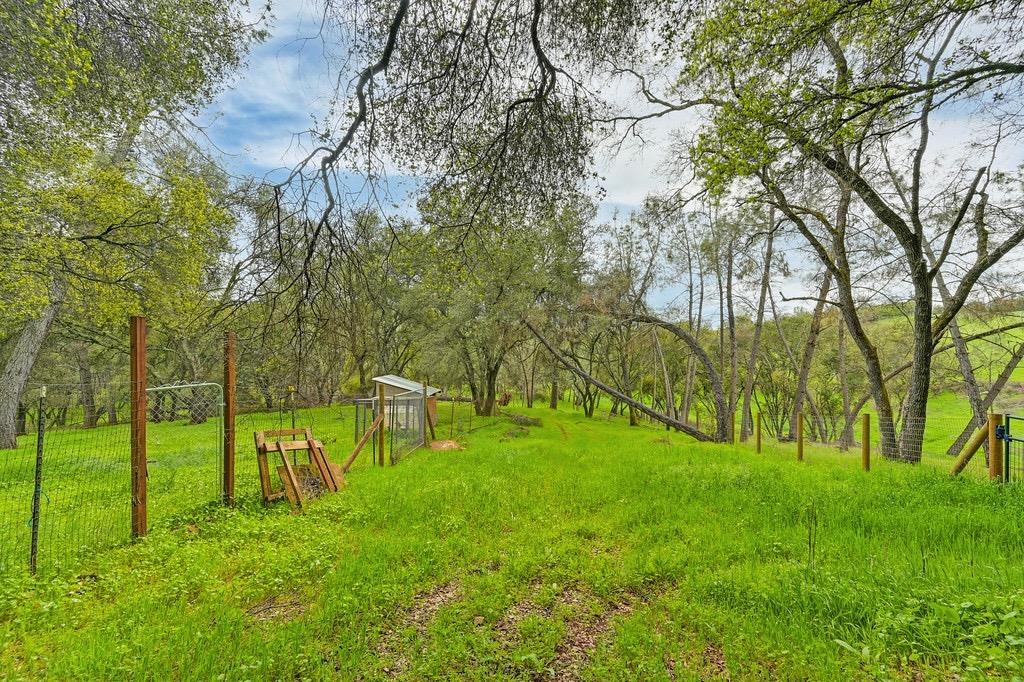 Detail Gallery Image 57 of 71 For 914 Orchard Ct, Pilot Hill,  CA 95664 - 4 Beds | 2 Baths