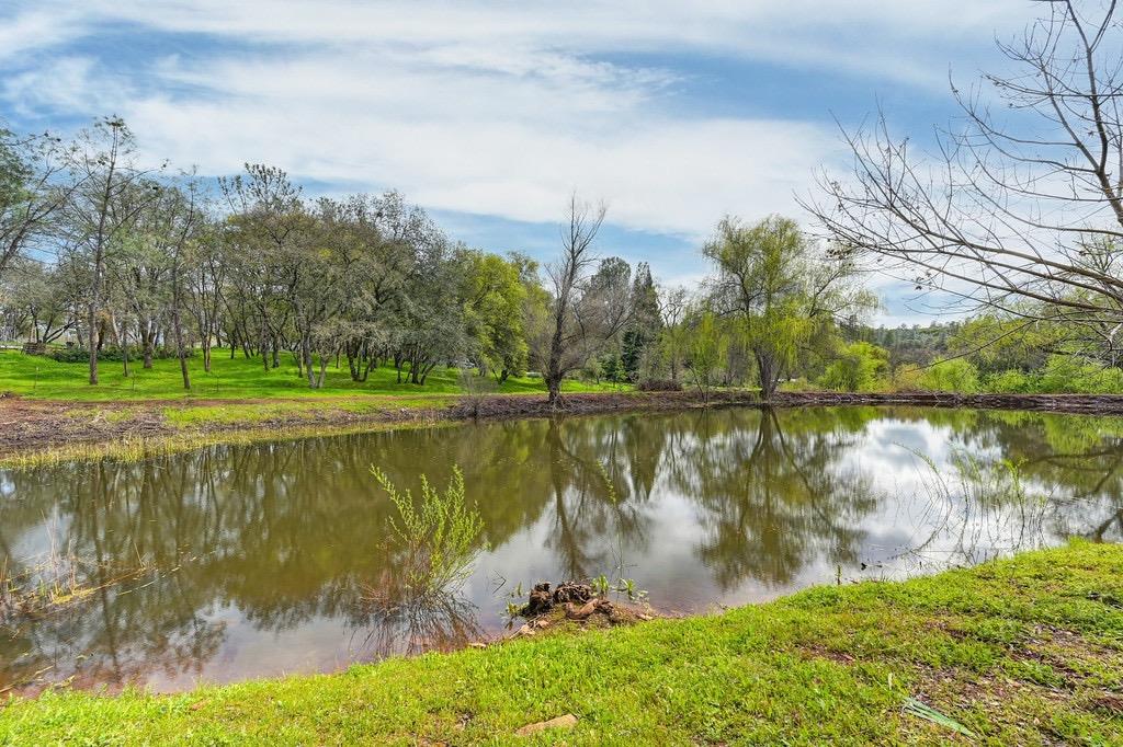 Detail Gallery Image 7 of 71 For 914 Orchard Ct, Pilot Hill,  CA 95664 - 4 Beds | 2 Baths