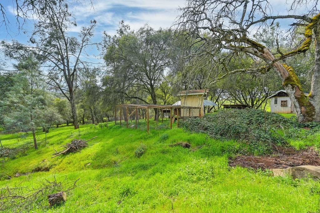 Detail Gallery Image 65 of 71 For 914 Orchard Ct, Pilot Hill,  CA 95664 - 4 Beds | 2 Baths