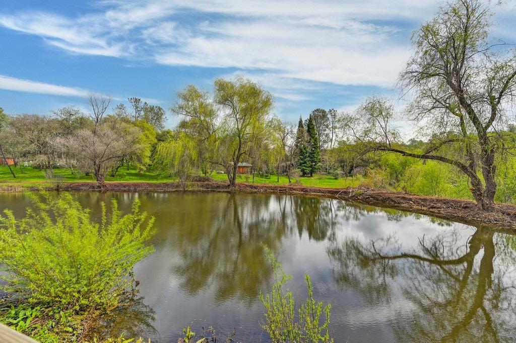 Detail Gallery Image 63 of 71 For 914 Orchard Ct, Pilot Hill,  CA 95664 - 4 Beds | 2 Baths