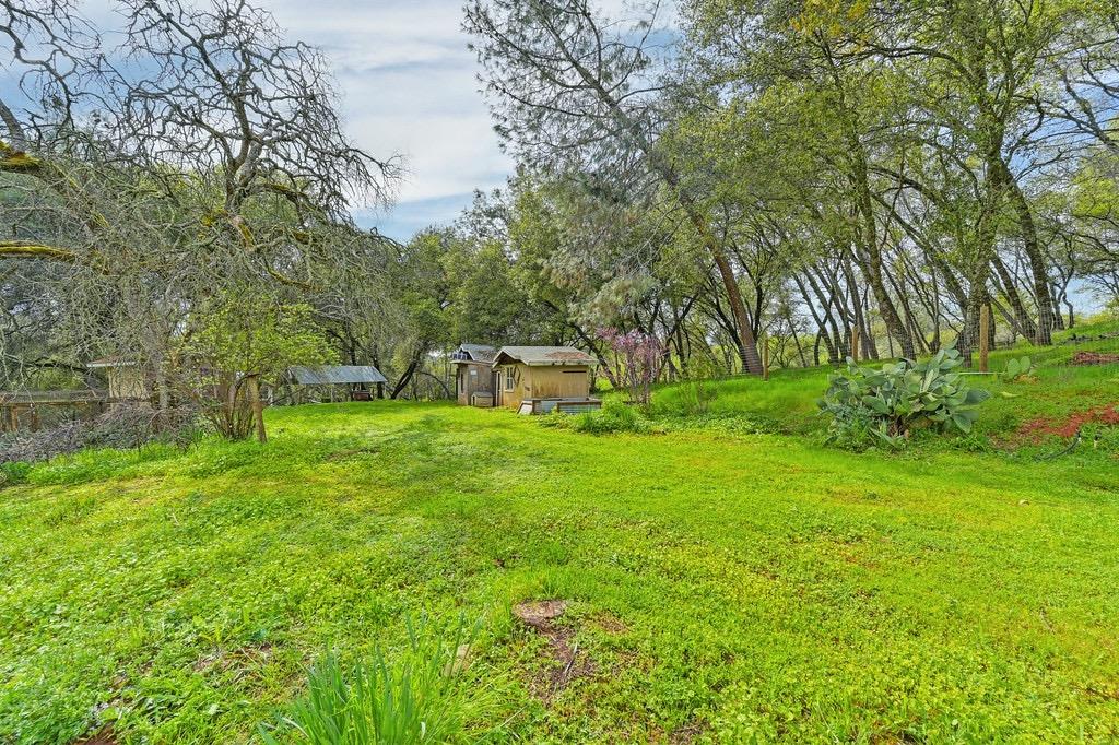Detail Gallery Image 50 of 71 For 914 Orchard Ct, Pilot Hill,  CA 95664 - 4 Beds | 2 Baths
