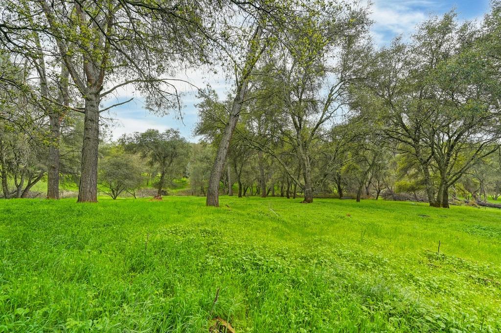 Detail Gallery Image 61 of 71 For 914 Orchard Ct, Pilot Hill,  CA 95664 - 4 Beds | 2 Baths