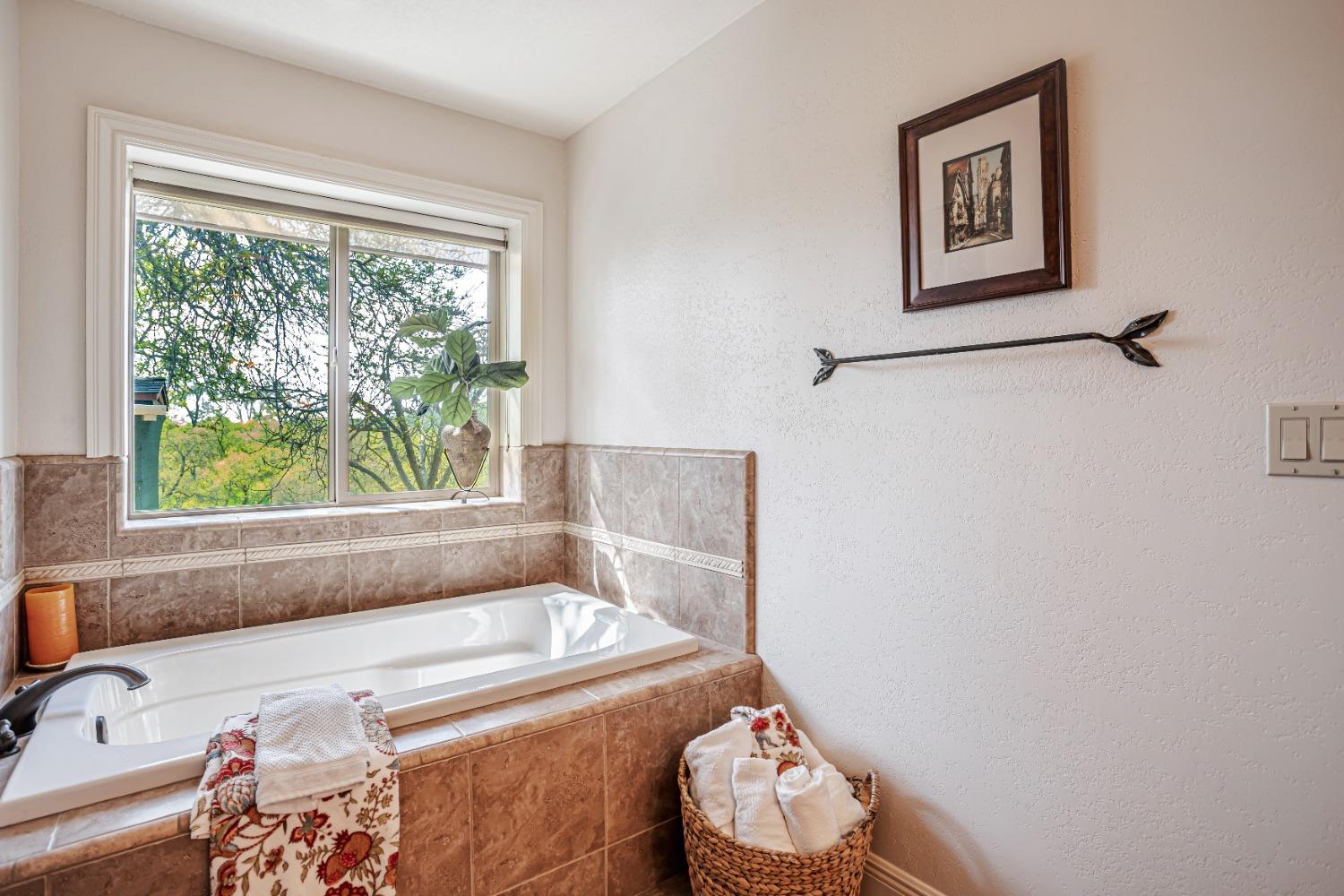Detail Gallery Image 20 of 66 For 14651 Highway 124, Plymouth,  CA 95669 - 4 Beds | 4 Baths
