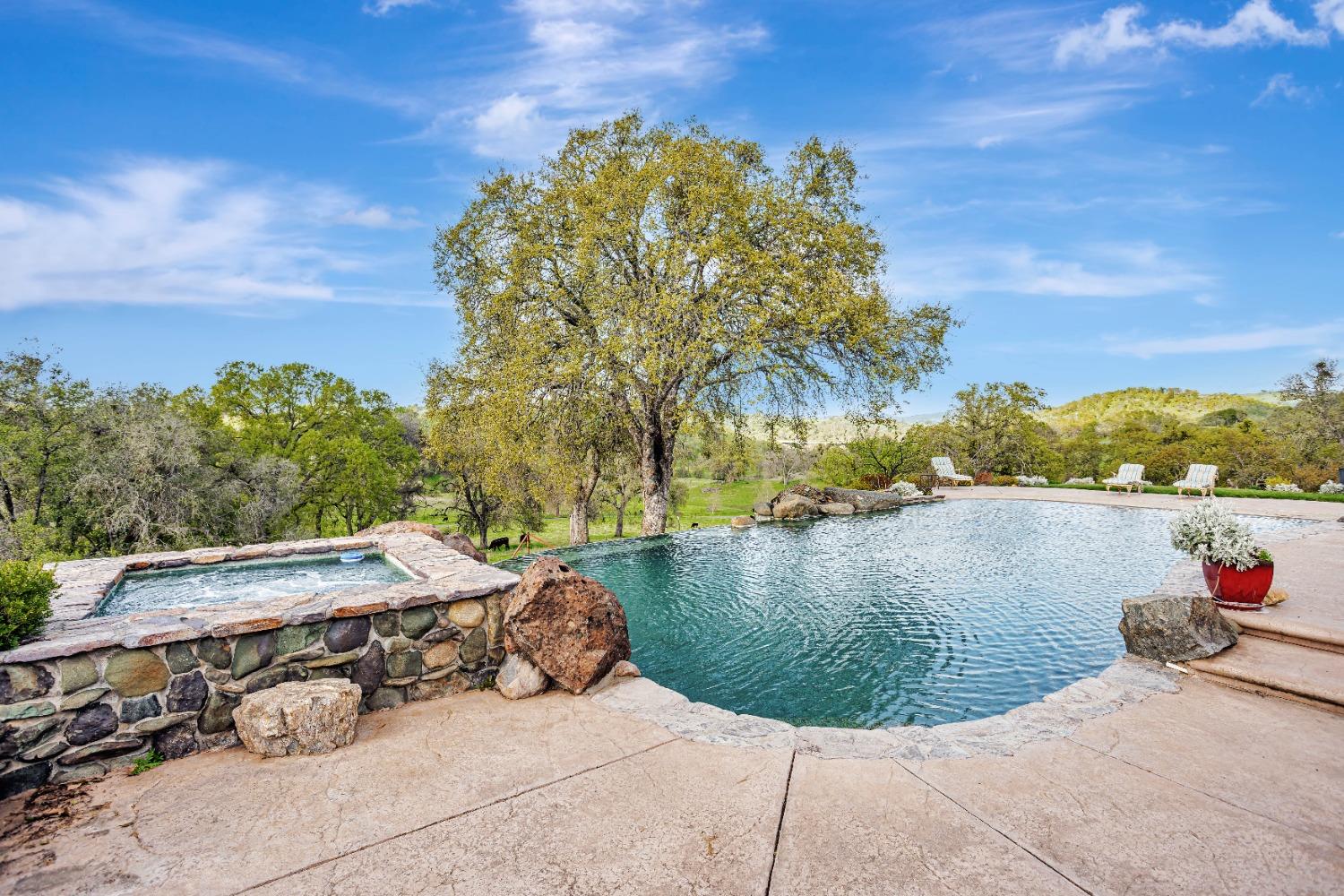 Detail Gallery Image 38 of 66 For 14651 Highway 124, Plymouth,  CA 95669 - 4 Beds | 4 Baths