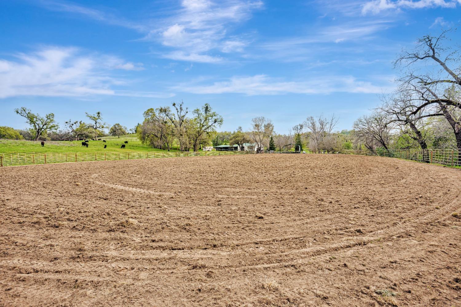 Detail Gallery Image 57 of 66 For 14651 Highway 124, Plymouth,  CA 95669 - 4 Beds | 4 Baths
