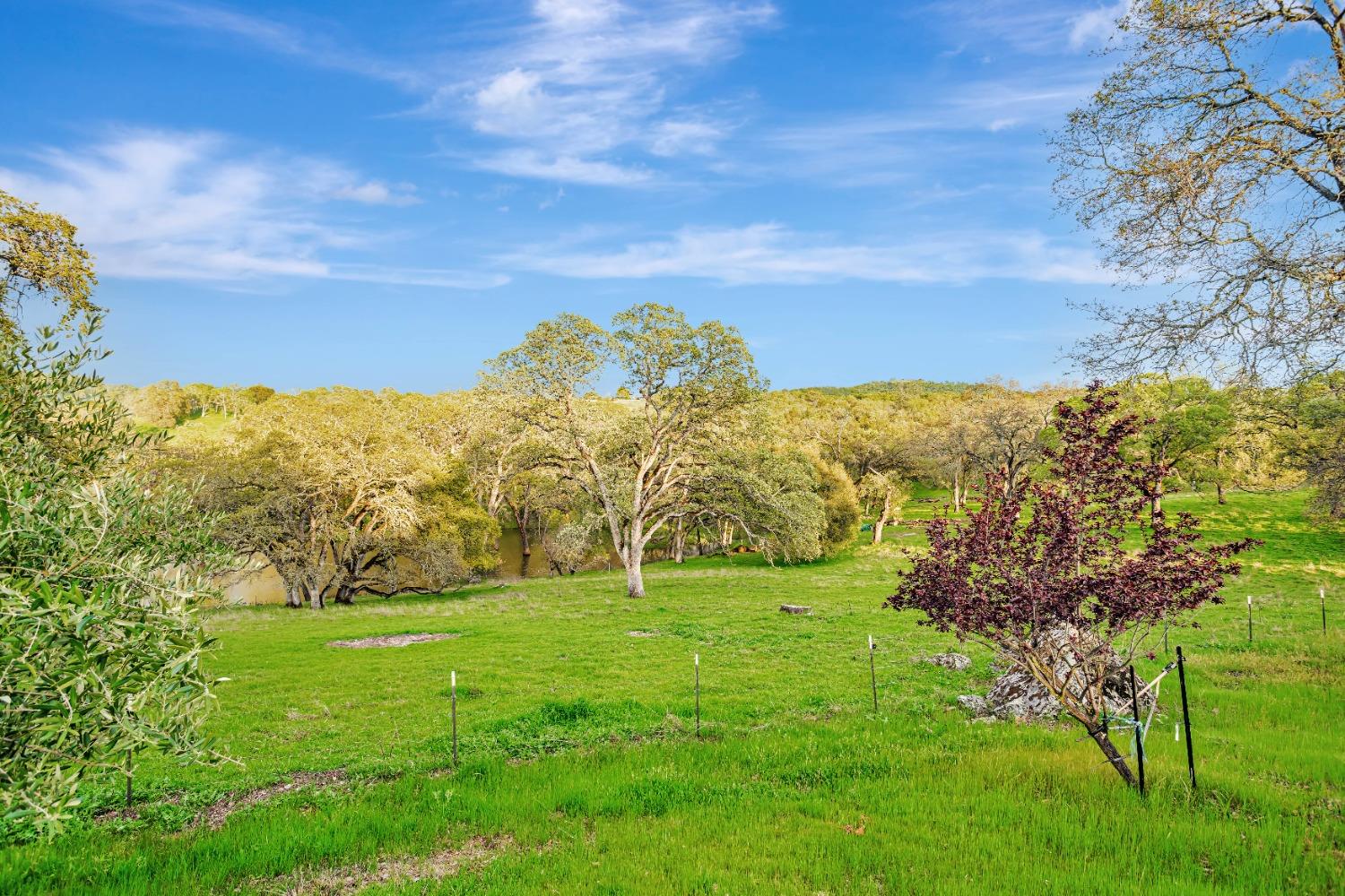 Detail Gallery Image 64 of 66 For 14651 Highway 124, Plymouth,  CA 95669 - 4 Beds | 4 Baths