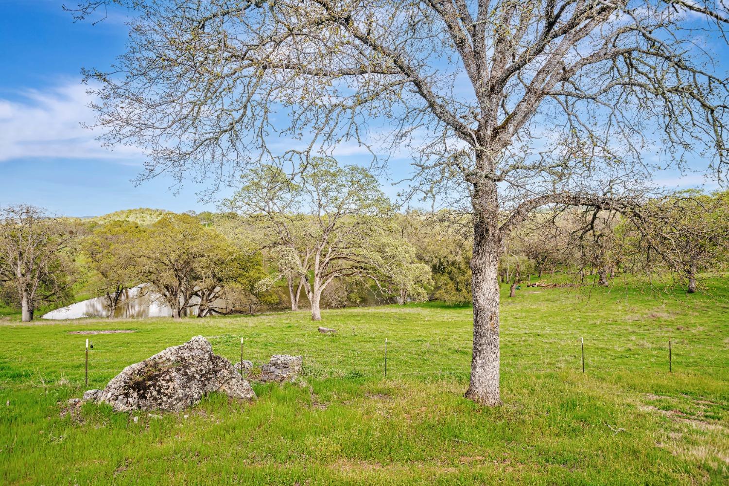 Detail Gallery Image 66 of 66 For 14651 Highway 124, Plymouth,  CA 95669 - 4 Beds | 4 Baths