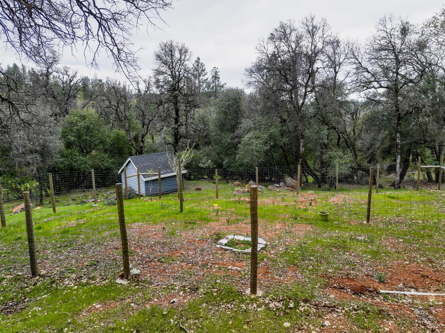 Detail Gallery Image 52 of 65 For 13579 Haas Ct, Rough And Ready,  CA 95975 - 3 Beds | 2/1 Baths
