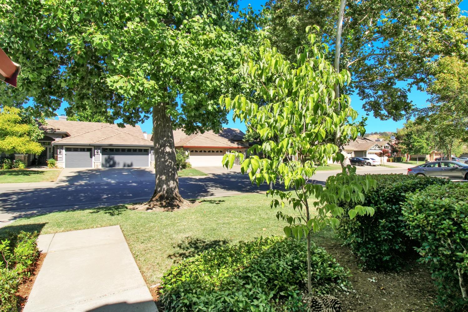 Houston Circle, Folsom, California image 6