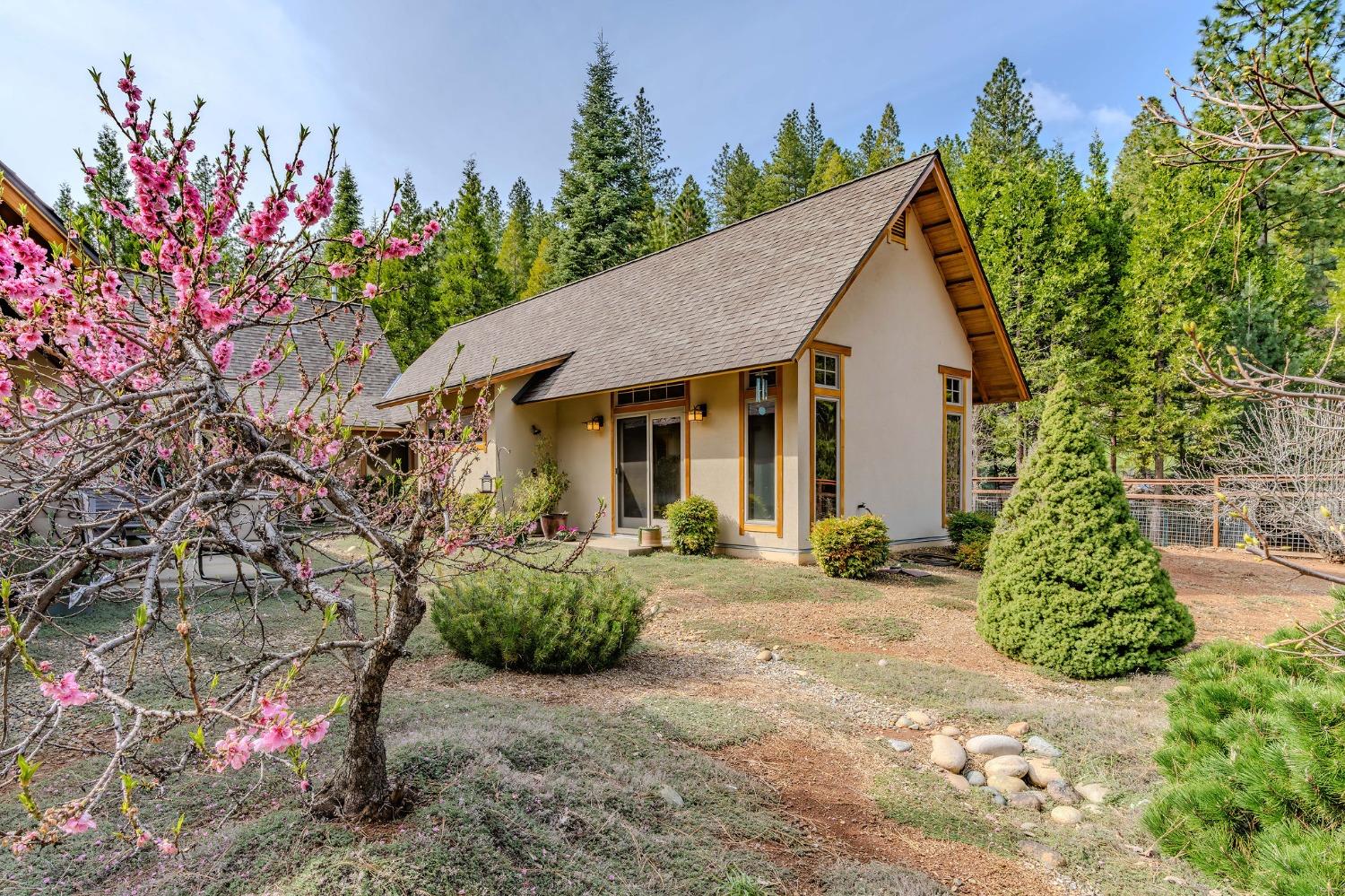 Detail Gallery Image 48 of 86 For 25521 Wildflower Dr, Volcano,  CA 95689 - 2 Beds | 2/1 Baths