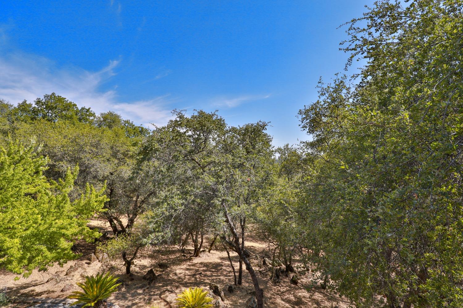 Detail Gallery Image 42 of 83 For 6091 Dutch Mine Rd, Diamond Springs,  CA 95619 - 4 Beds | 3 Baths