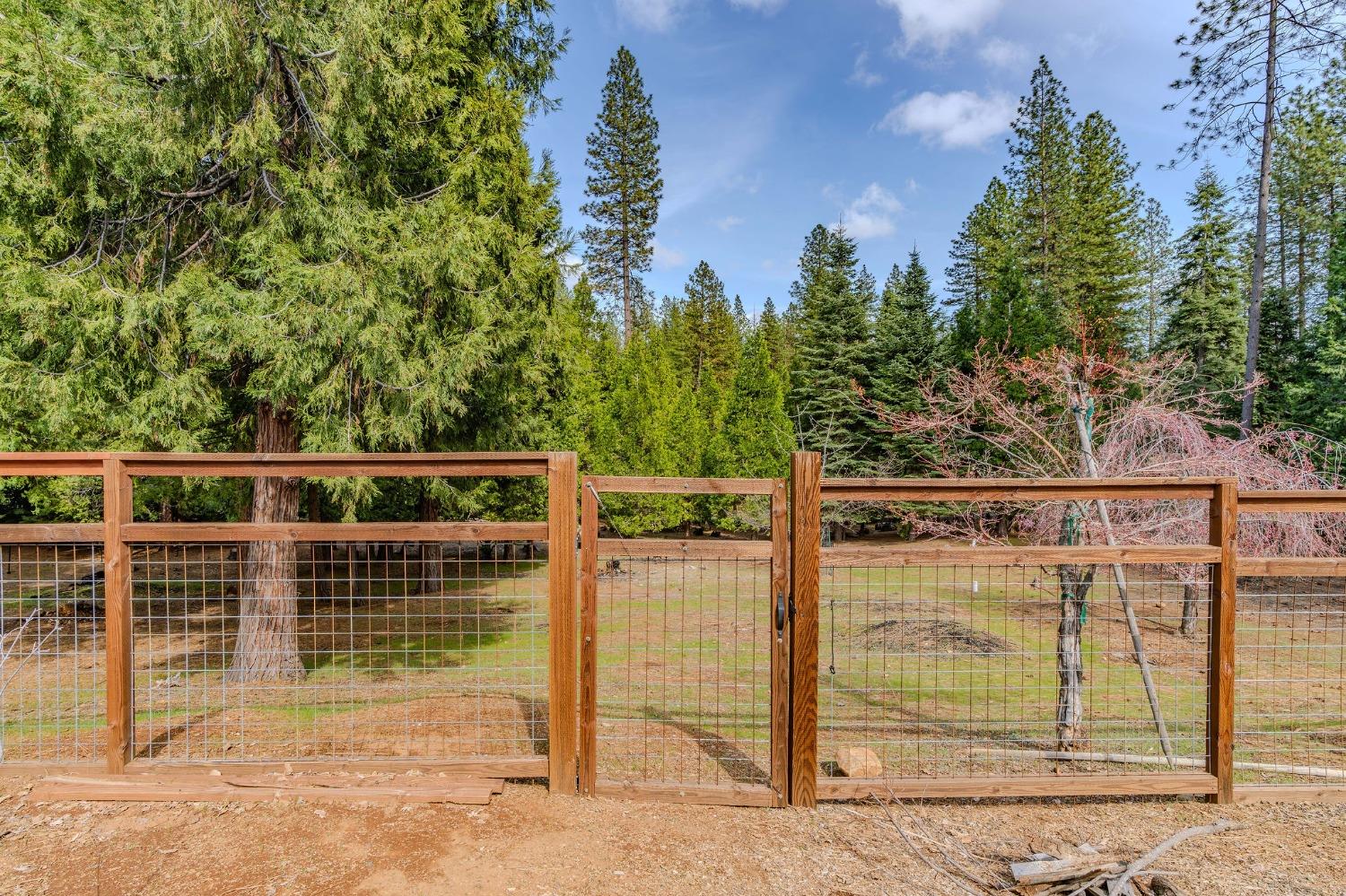 Detail Gallery Image 53 of 86 For 25521 Wildflower Dr, Volcano,  CA 95689 - 2 Beds | 2/1 Baths