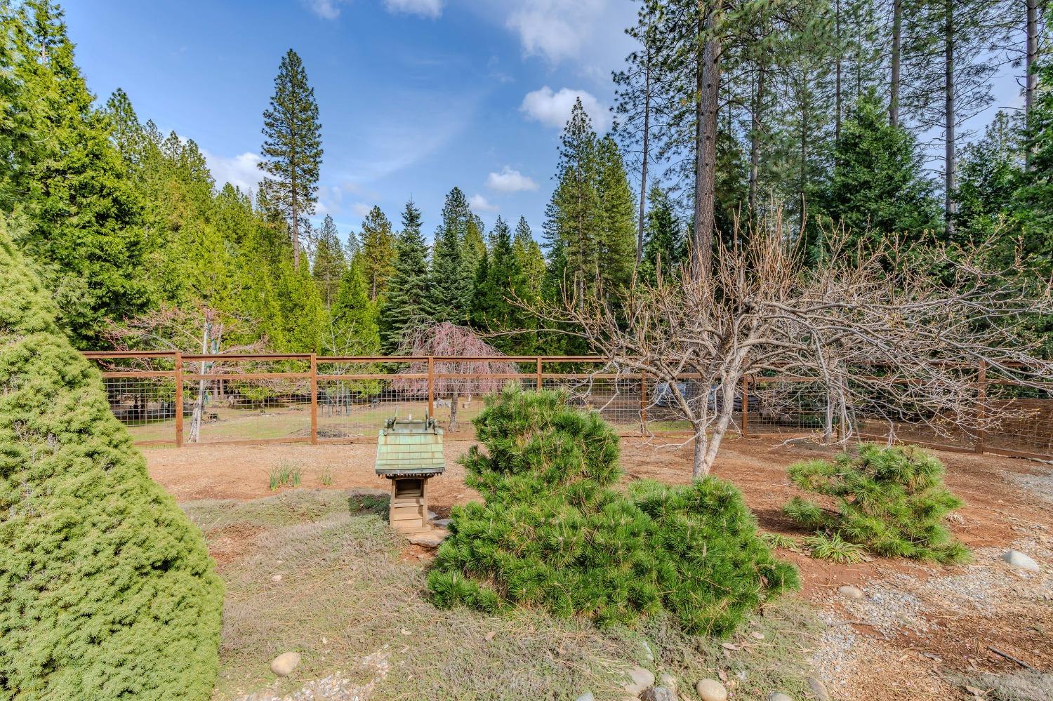 Detail Gallery Image 51 of 86 For 25521 Wildflower Dr, Volcano,  CA 95689 - 2 Beds | 2/1 Baths