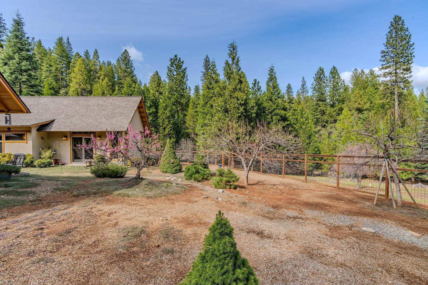 Detail Gallery Image 50 of 86 For 25521 Wildflower Dr, Volcano,  CA 95689 - 2 Beds | 2/1 Baths