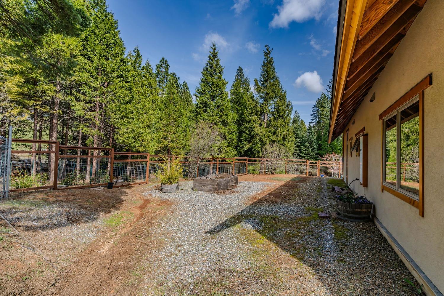 Detail Gallery Image 52 of 86 For 25521 Wildflower Dr, Volcano,  CA 95689 - 2 Beds | 2/1 Baths