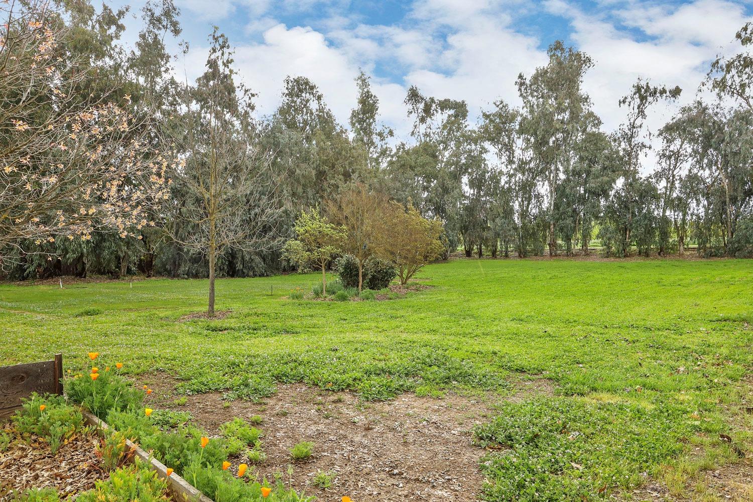 Detail Gallery Image 59 of 62 For 17552 E Front St, Linden,  CA 95236 - 3 Beds | 2 Baths