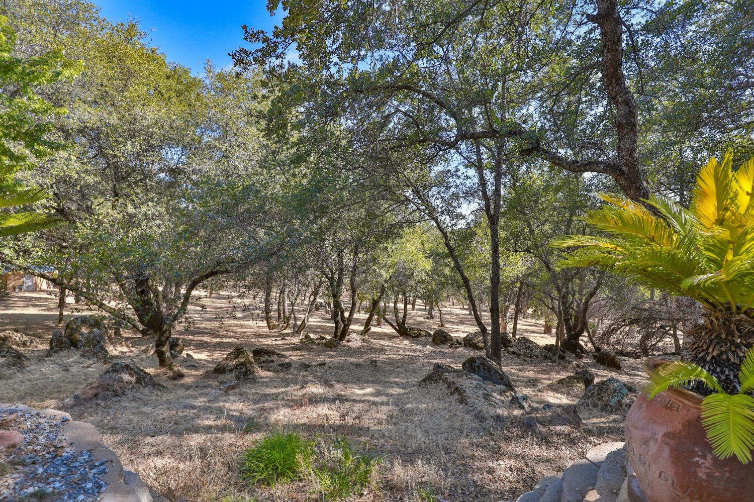 Detail Gallery Image 43 of 83 For 6091 Dutch Mine Rd, Diamond Springs,  CA 95619 - 4 Beds | 3 Baths