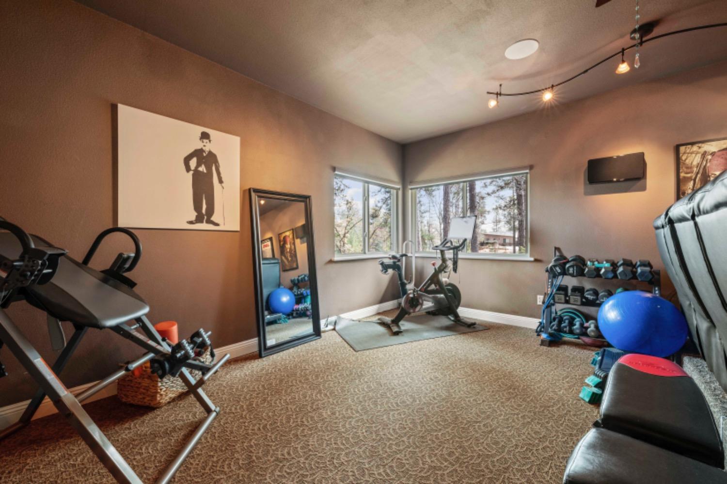 Detail Gallery Image 49 of 88 For 15110 Woodvale Ln, Meadow Vista,  CA 95722 - 4 Beds | 3/2 Baths