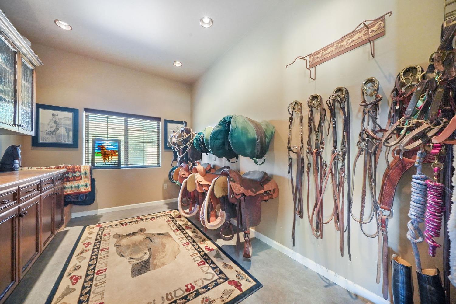 Detail Gallery Image 74 of 94 For 11195 Vintage Rd, Ione,  CA 95640 - 3 Beds | 2/1 Baths