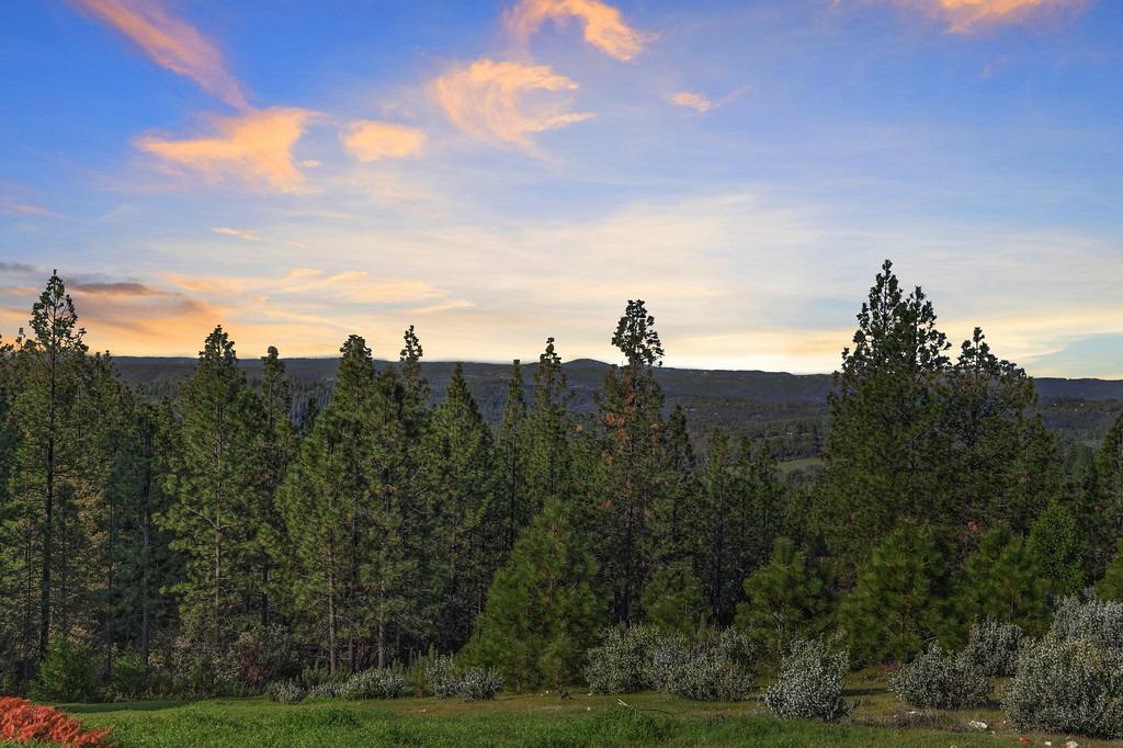 Detail Gallery Image 84 of 99 For 5901 Traverse Creek Rd, Garden Valley,  CA 95633 - 2 Beds | 2 Baths