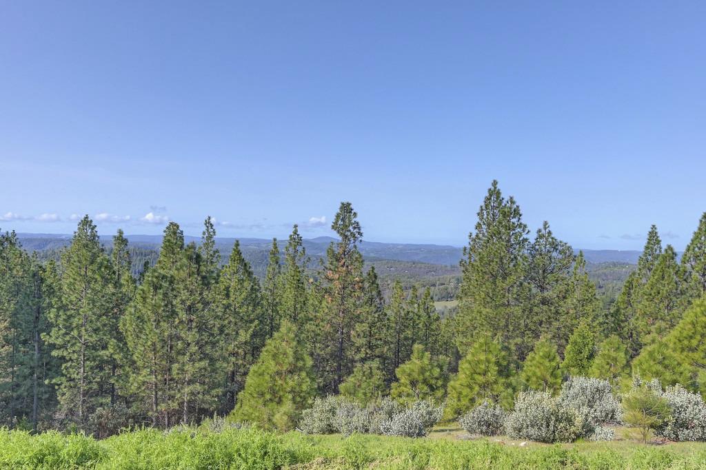 Detail Gallery Image 97 of 99 For 5901 Traverse Creek Rd, Garden Valley,  CA 95633 - 2 Beds | 2 Baths
