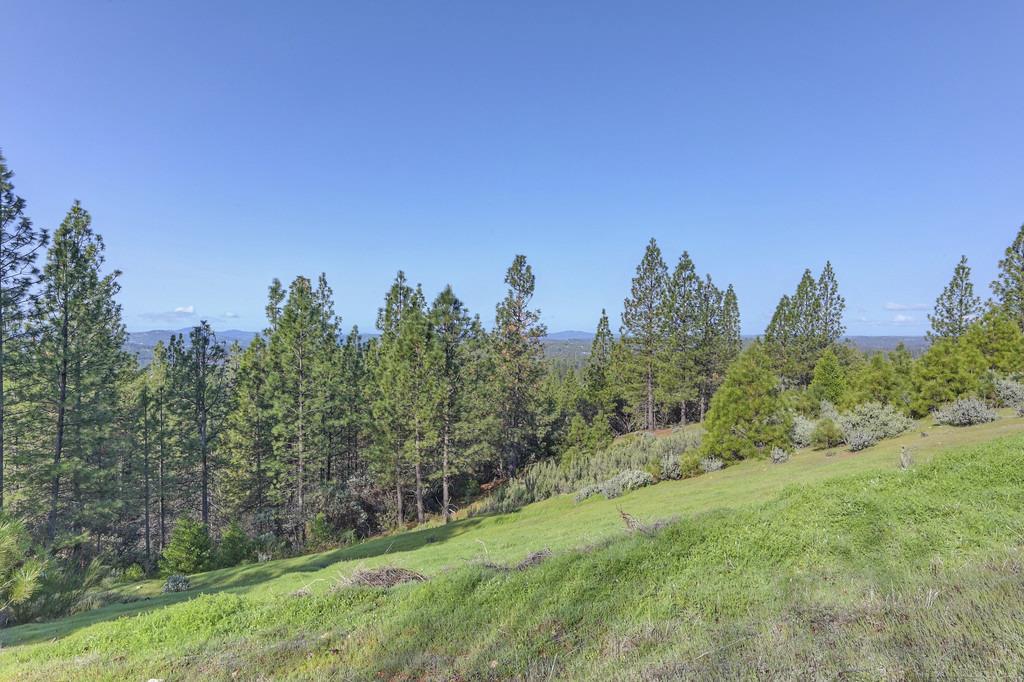 Detail Gallery Image 96 of 99 For 5901 Traverse Creek Rd, Garden Valley,  CA 95633 - 2 Beds | 2 Baths