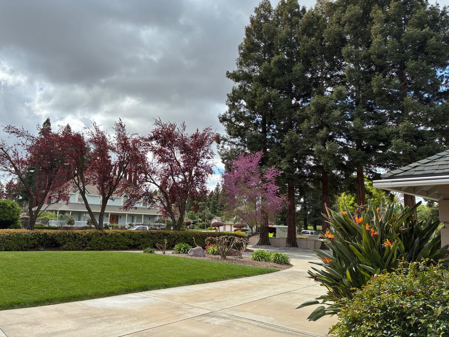 Detail Gallery Image 69 of 74 For 668 Gabriel Ave, Yuba City,  CA 95993 - 4 Beds | 4/1 Baths