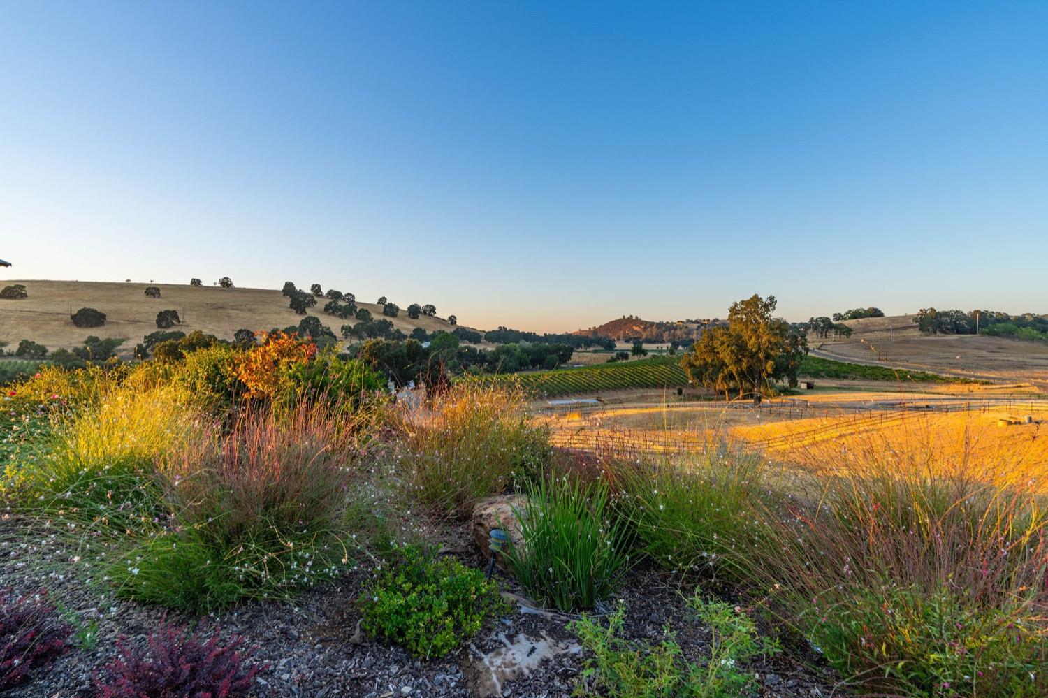 Detail Gallery Image 8 of 94 For 11195 Vintage Rd, Ione,  CA 95640 - 3 Beds | 2/1 Baths