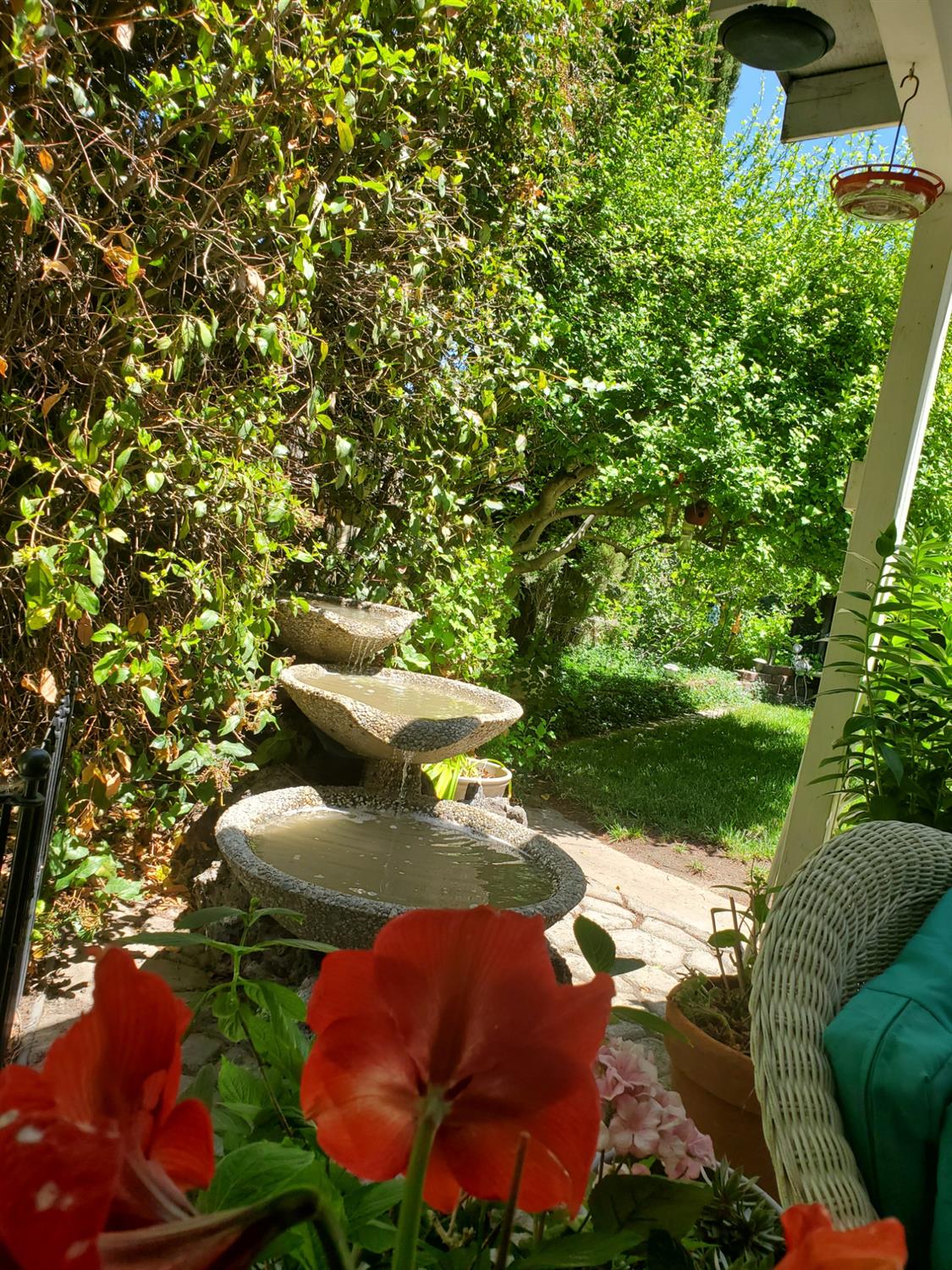 Detail Gallery Image 55 of 82 For 317 Dorado Ln, Modesto,  CA 95356 - 3 Beds | 2 Baths