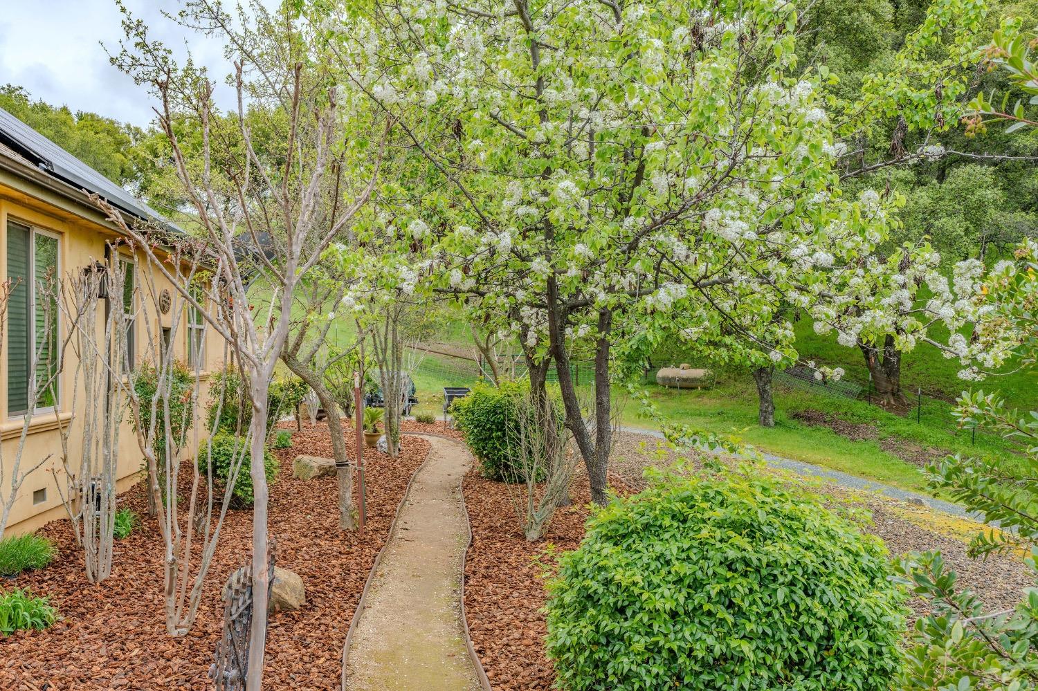 Detail Gallery Image 59 of 94 For 11195 Vintage Rd, Ione,  CA 95640 - 3 Beds | 2/1 Baths