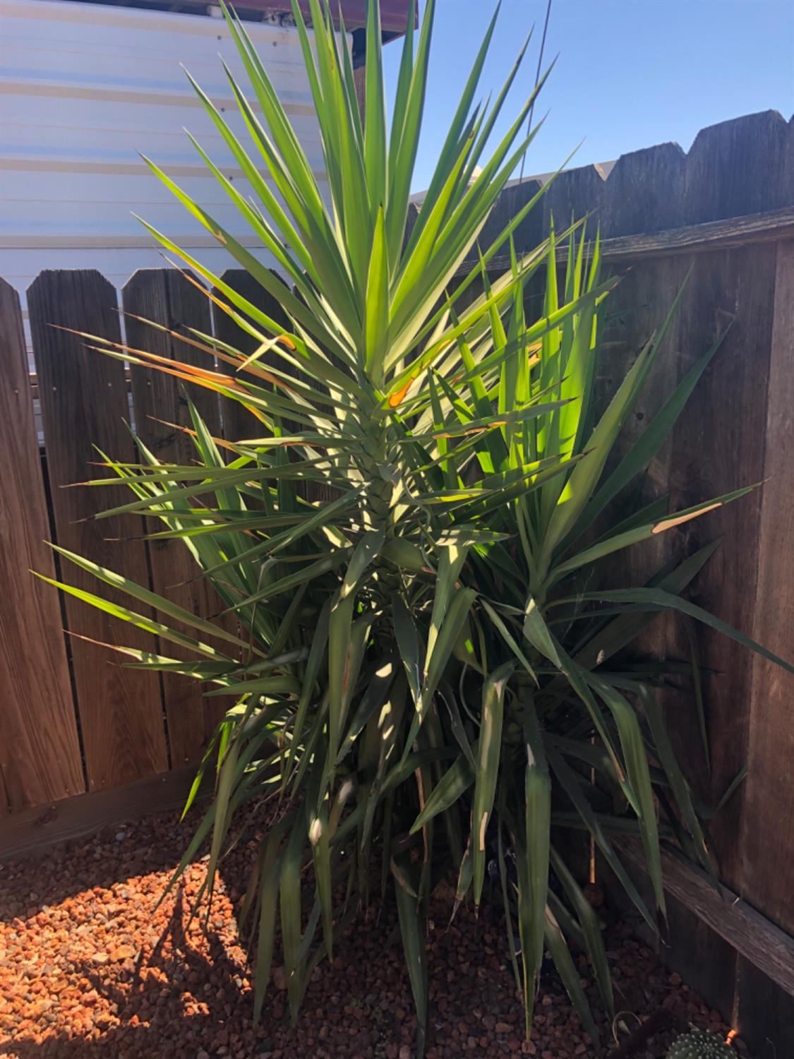 Detail Gallery Image 20 of 23 For 425 20th Century D6 Blvd, Turlock,  CA 95380 - 1 Beds | 1 Baths