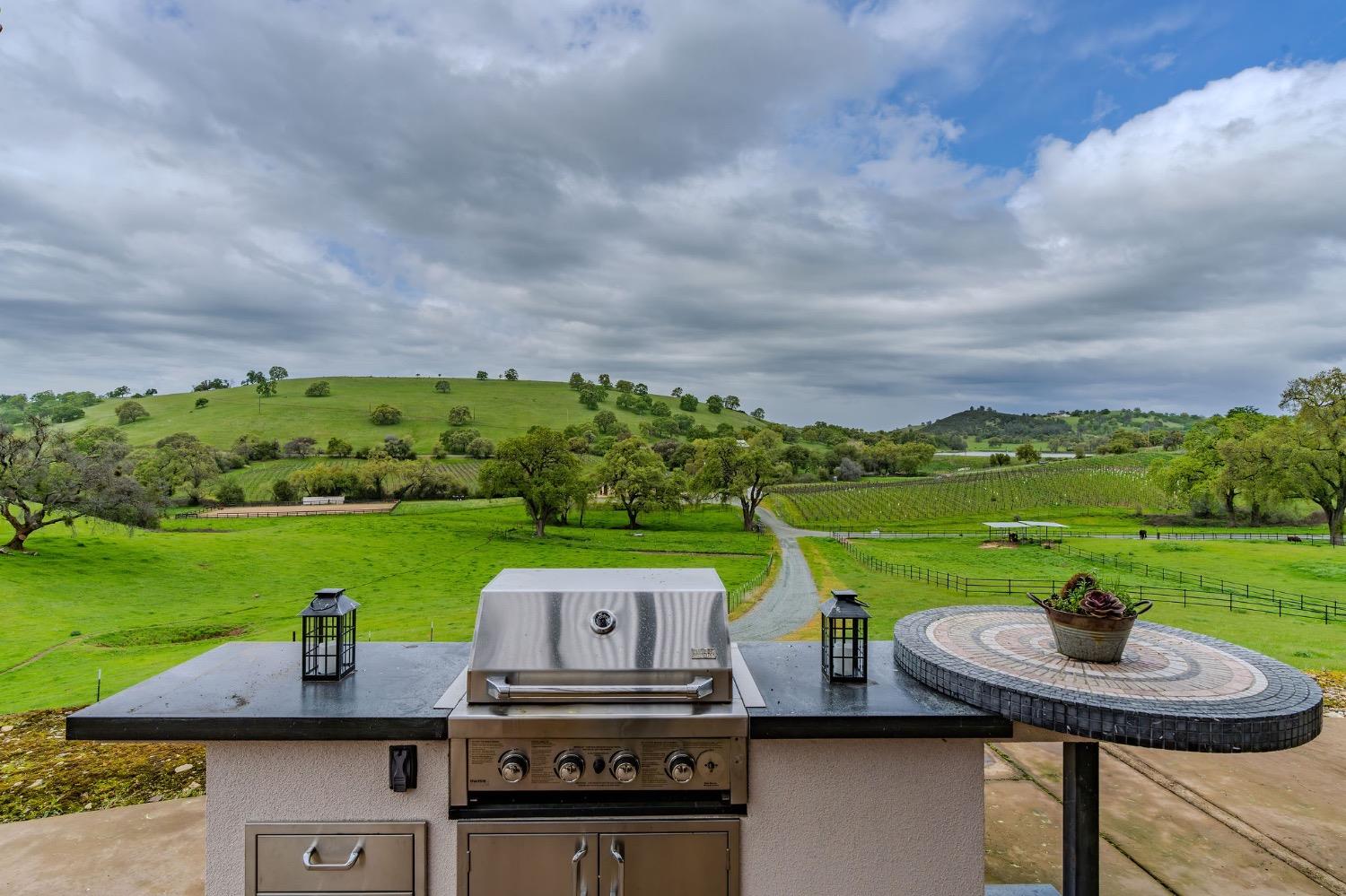 Detail Gallery Image 50 of 94 For 11195 Vintage Rd, Ione,  CA 95640 - 3 Beds | 2/1 Baths